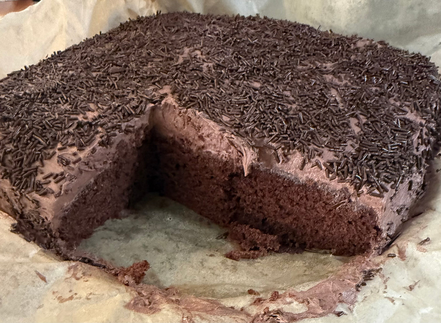 Chocolate Sponge Cake with Chocolate Buttercream & Sprinkles