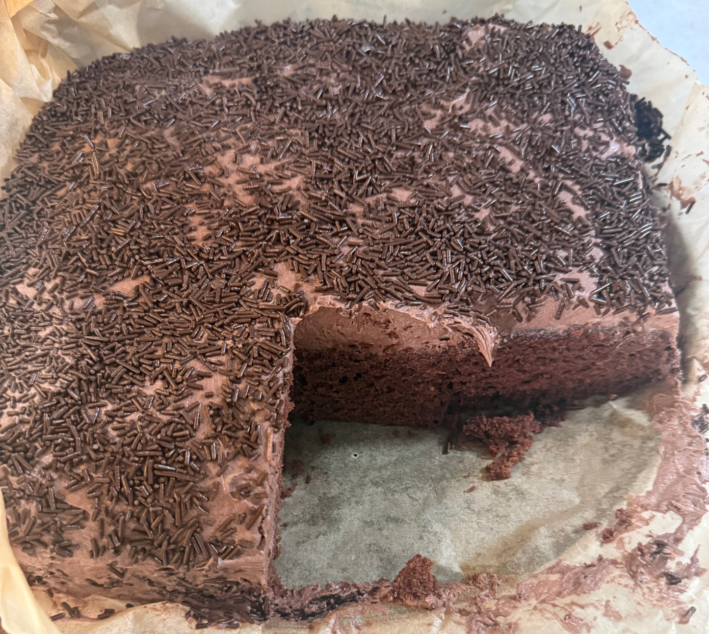 Chocolate Sponge Cake with Chocolate Buttercream & Sprinkles